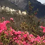 Oda ve Kahvaltı Foresteria Vecchiascuola Pianazzola Chiavenna