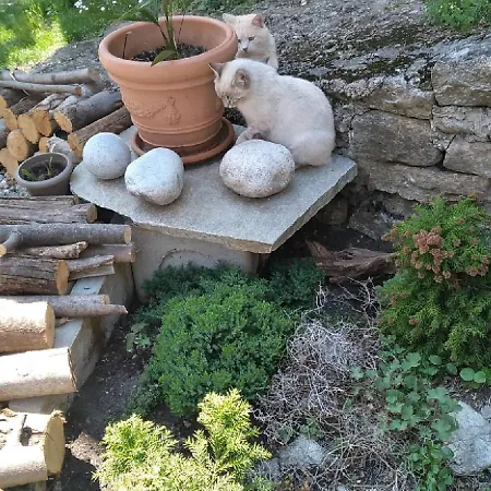 Bed & Breakfast Foresteria Vecchiascuola Pianazzola Chiavenna