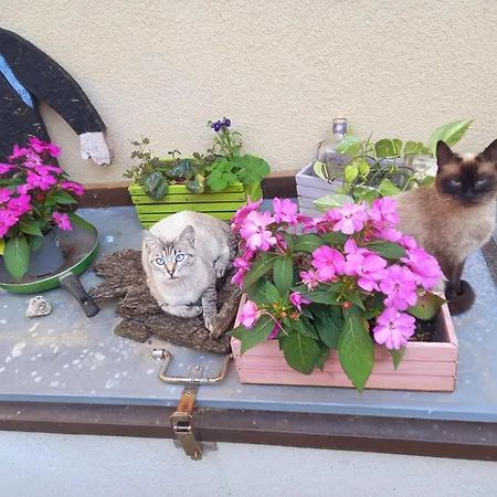 Bed & Breakfast Foresteria Vecchiascuola Pianazzola Chiavenna