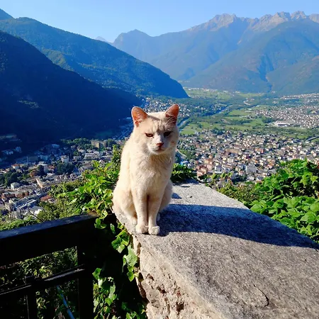 Foresteria Vecchiascuola Pianazzola 3* Chiavenna